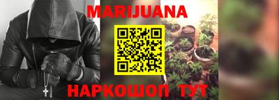 сатива Абакан