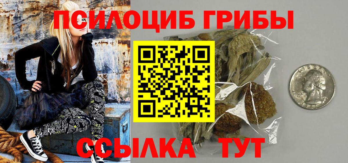 Псилоцибиновые грибы мицелий Алатырь